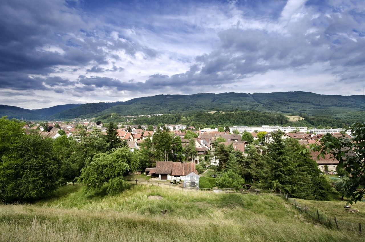 Landgasthof Zur Sonne Wehr  Exteriér fotografie